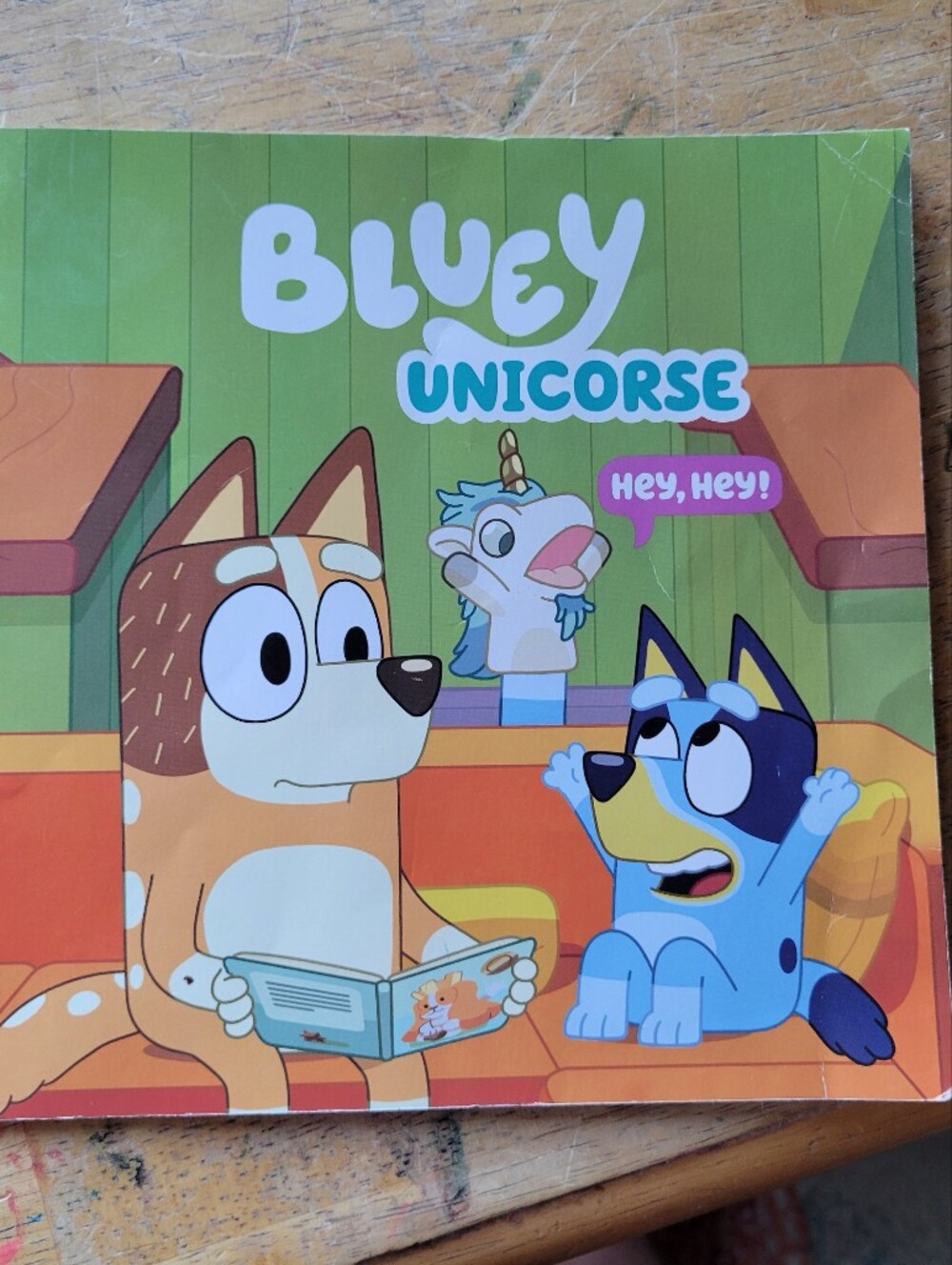Bluey Unicorse - Paperback - GOOD